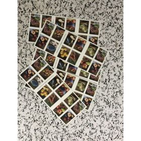 First-Class Rate U.S. STAMPS New Fruits & Vegetables 1 0 0pcs FREE SHIPPING (Option: W12327388)